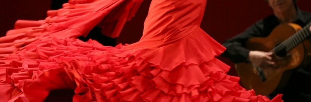 Offre spéciale de flamenco à Granada